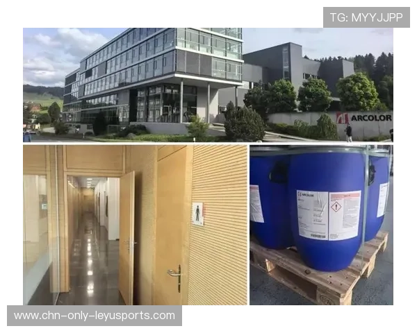 新闻中心深度分析研发团队阶段性成就拓展国际化战略格局，高效研发团队